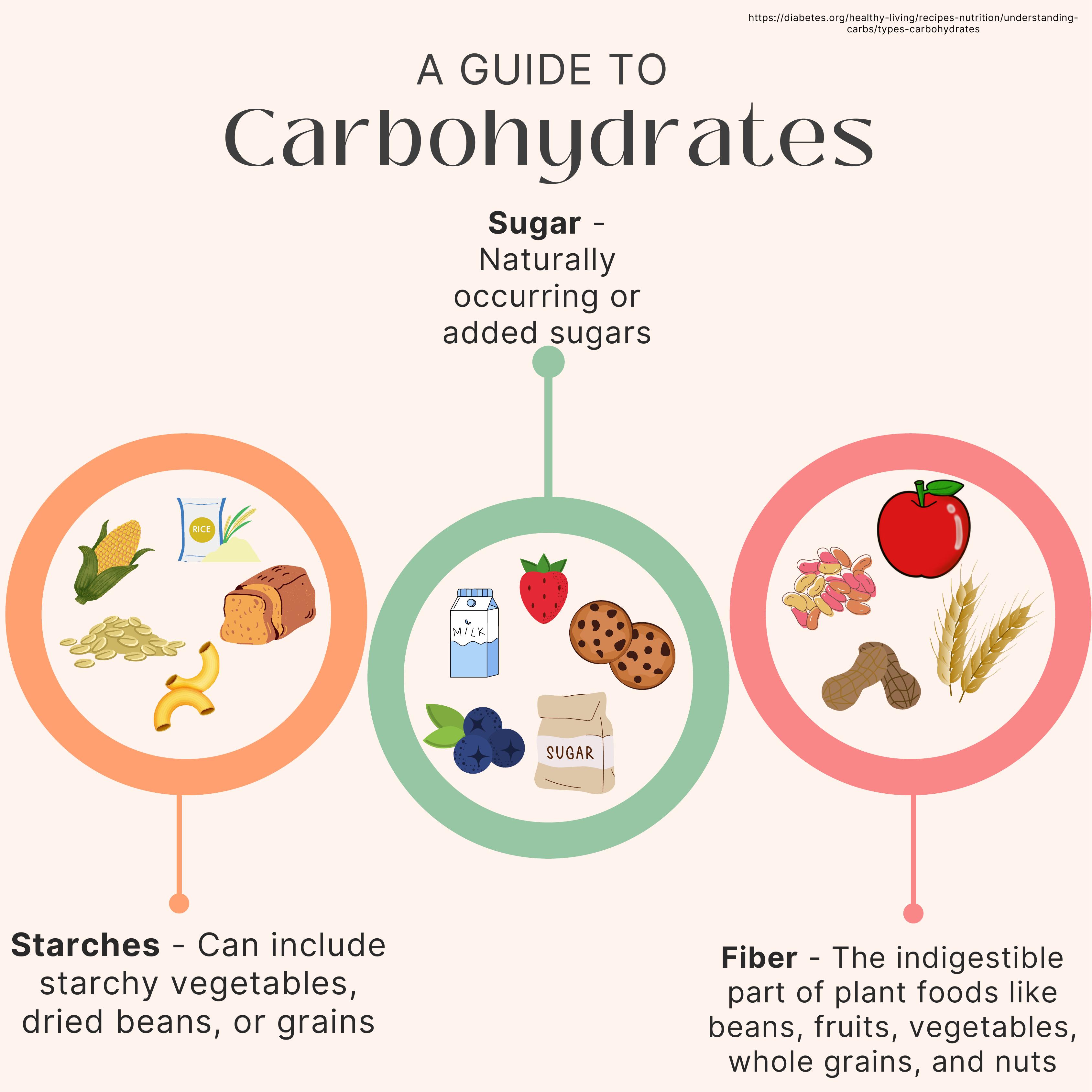 A guide to carbohydrates