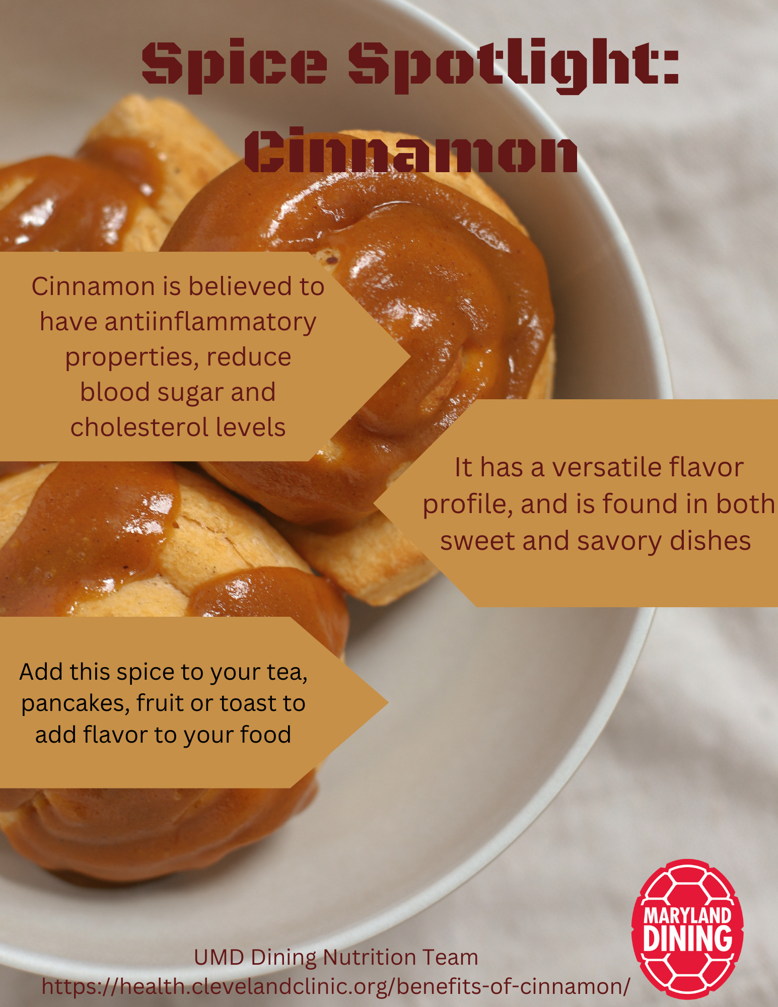 Spice Spotlight Cinnamon