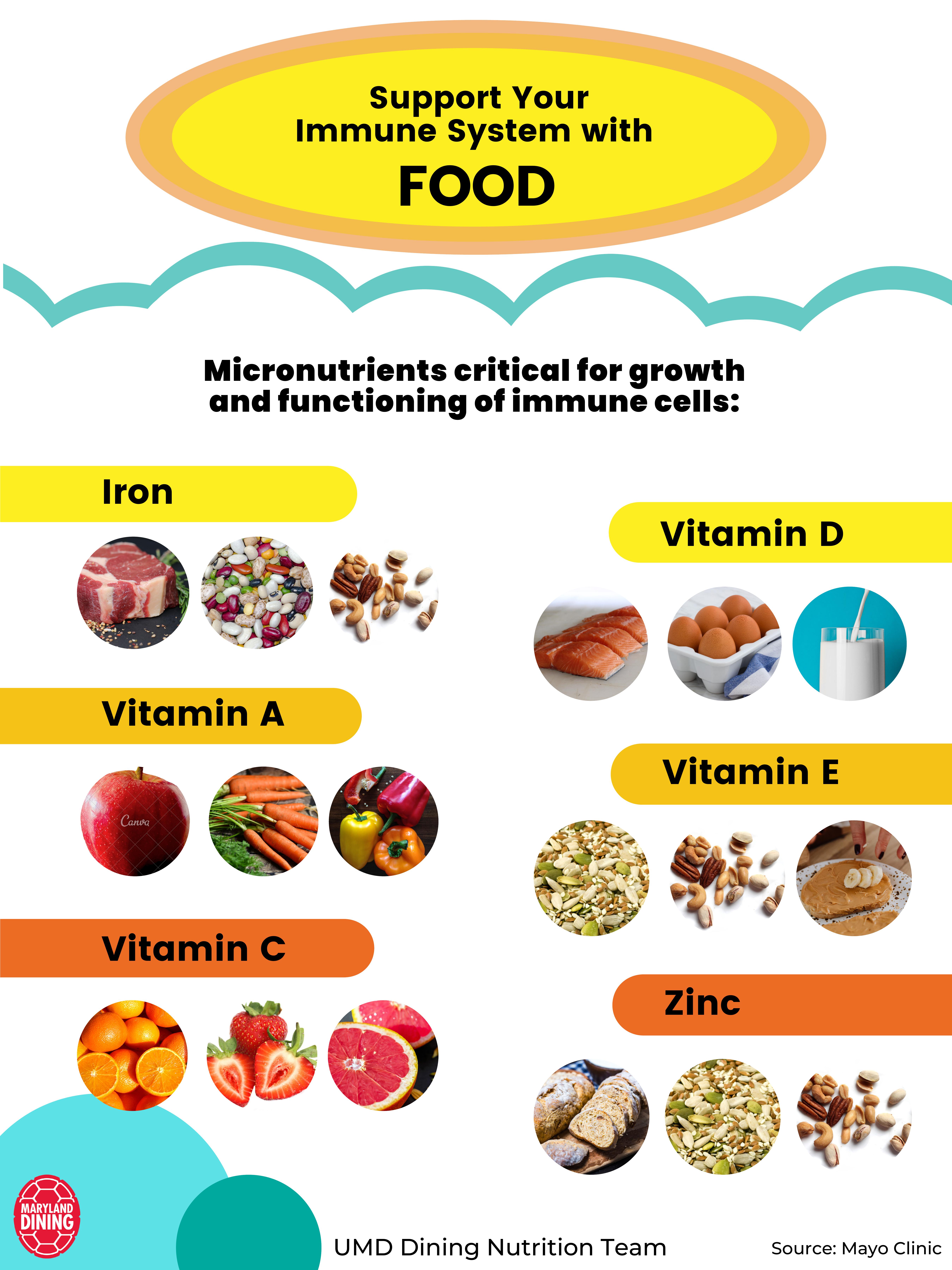 Graphic describing the different immune system benefits of food