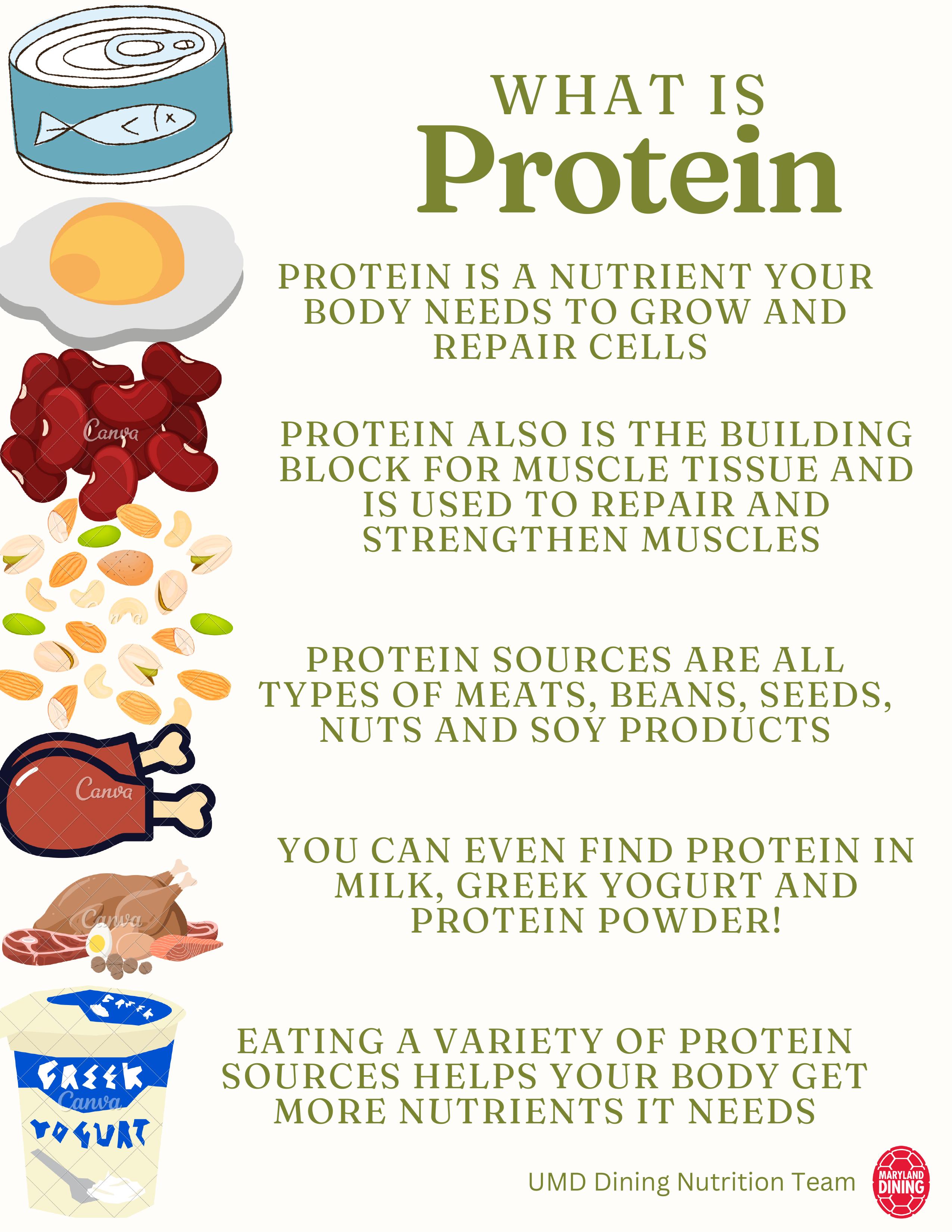 Protein