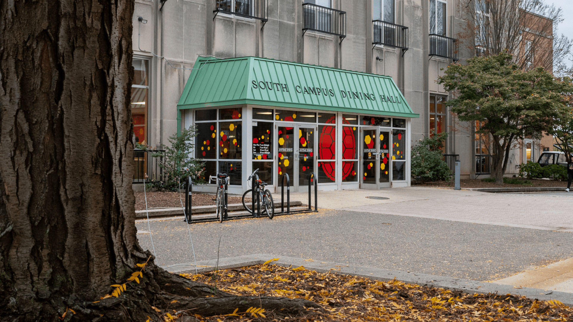 south campus dining hall