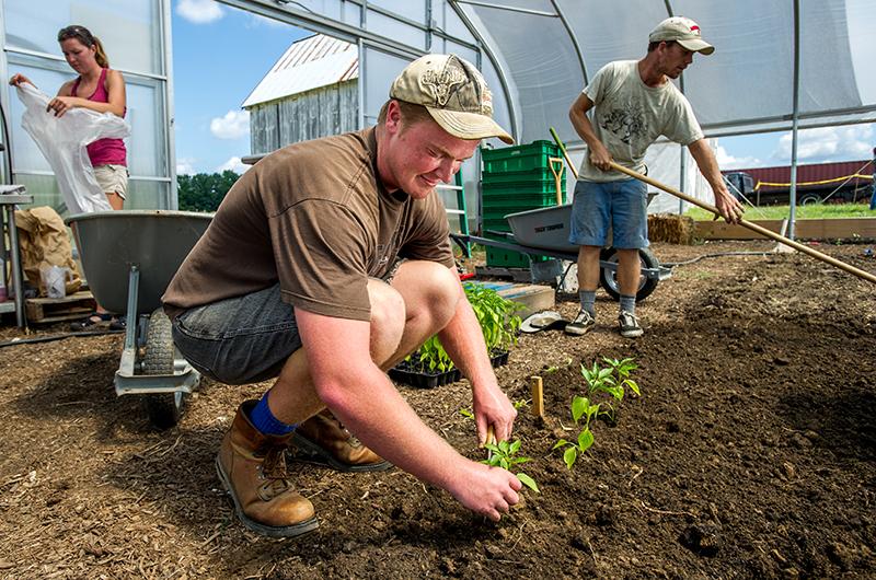 Maryland Community_Web_Terp Farm__20150812_Terp Farm_89.jpg